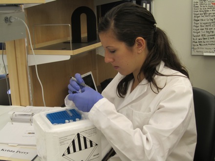 Krista carefully labeling her DNA samples.